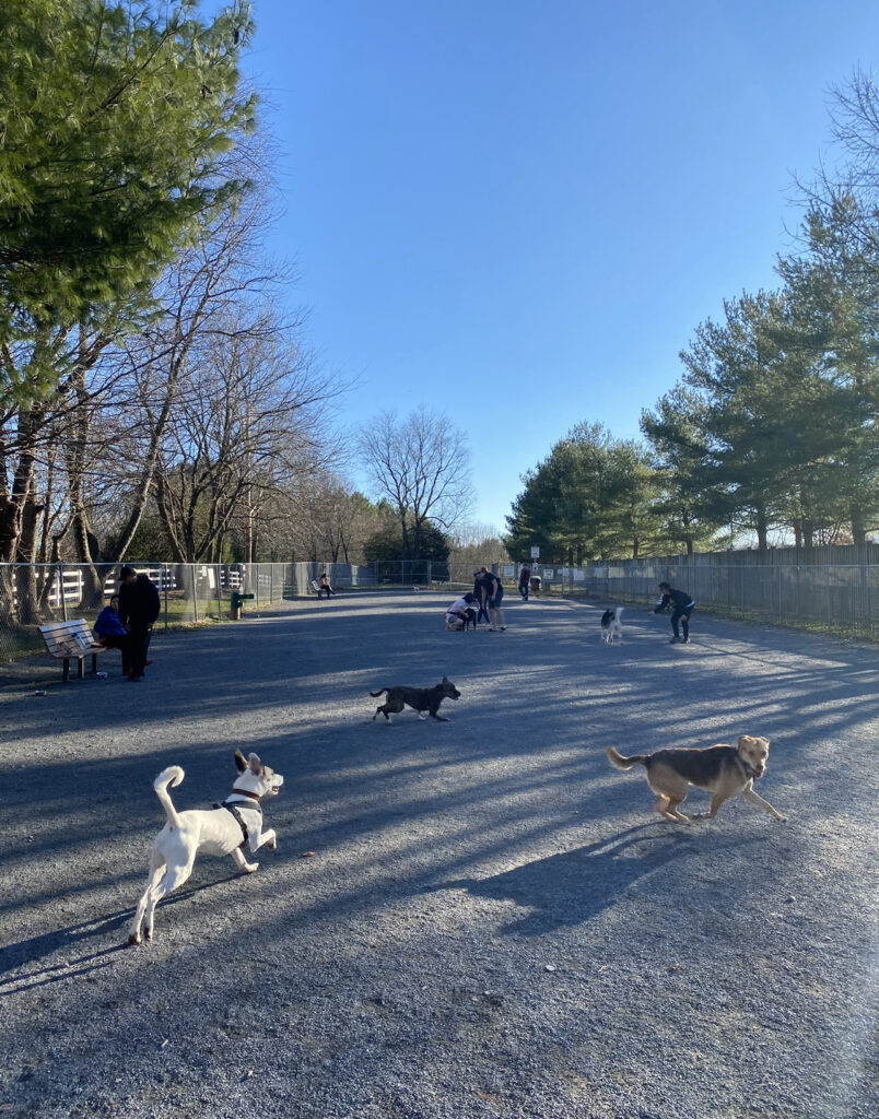 Gaithersburg City Park Photo Contest The MoCo Show