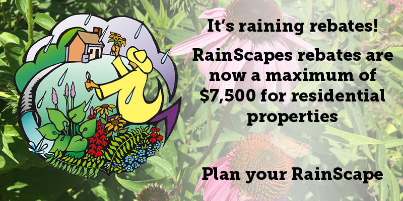 rainscapes-rewards-rebate-program-application-portal-reopens-wednesday