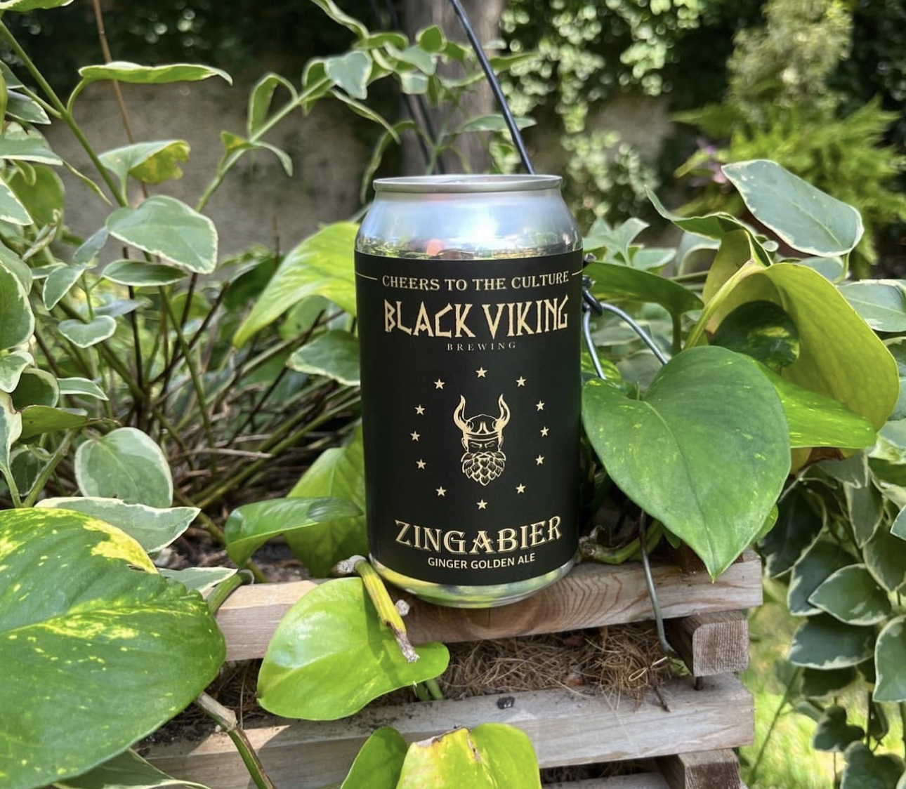 MoCo's Black Viking Brewing is a Finalist For USA Today's Best New
