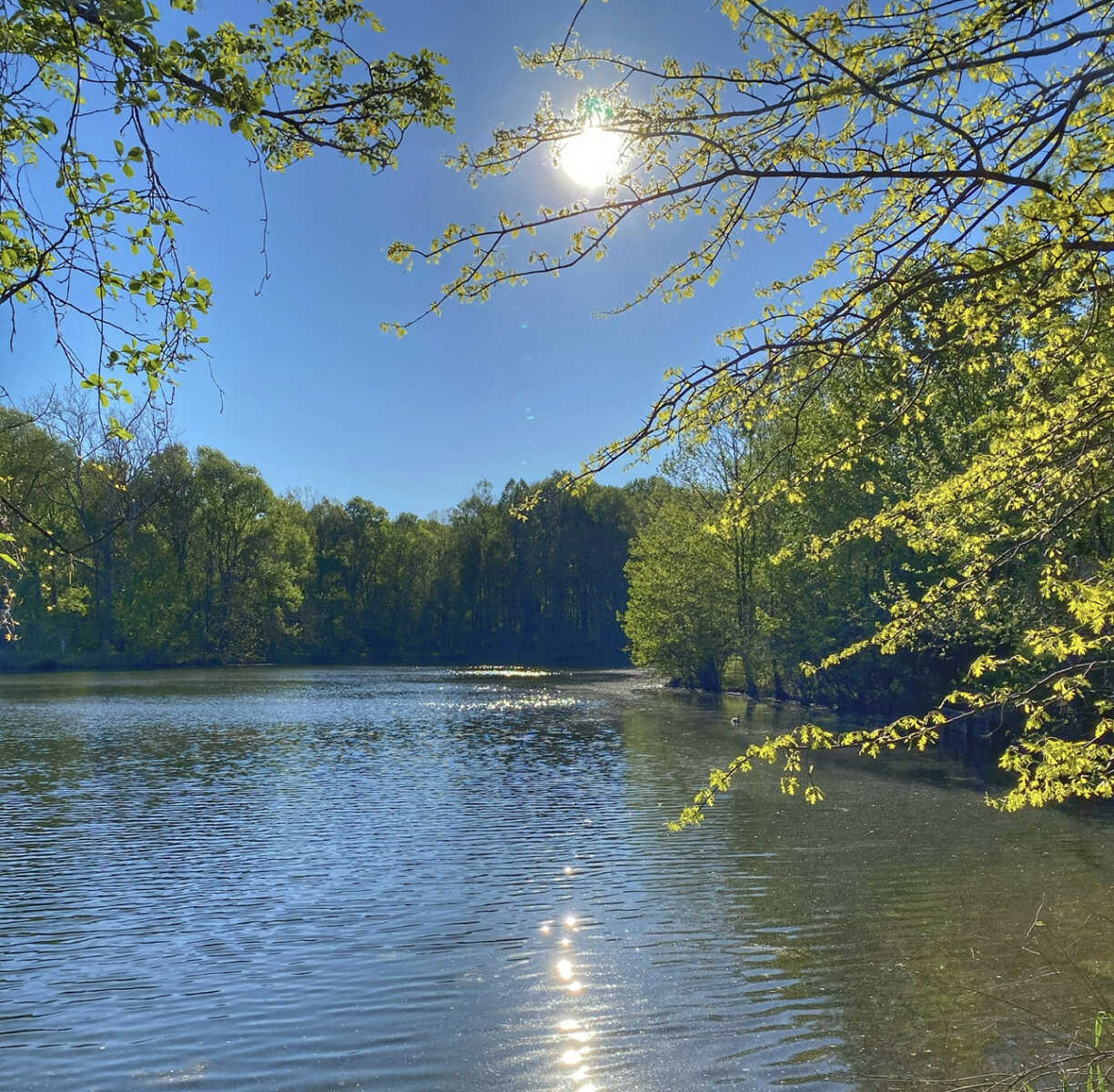 Any Natural Natural Lakes