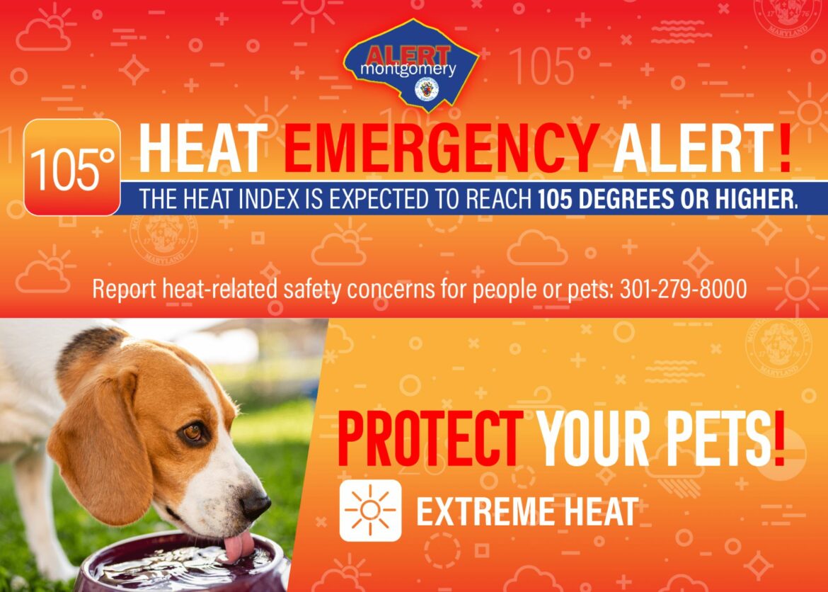 Montgomery County Office of Emergency Management and Homeland Security ...