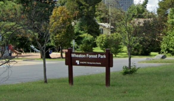 Man Shot at Wheaton Forest Park; Non-Life Threatening Injuries ...