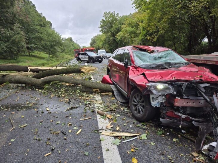 Vehicle Struck by Falling Tree on I-270 Ramp - The MoCo Show