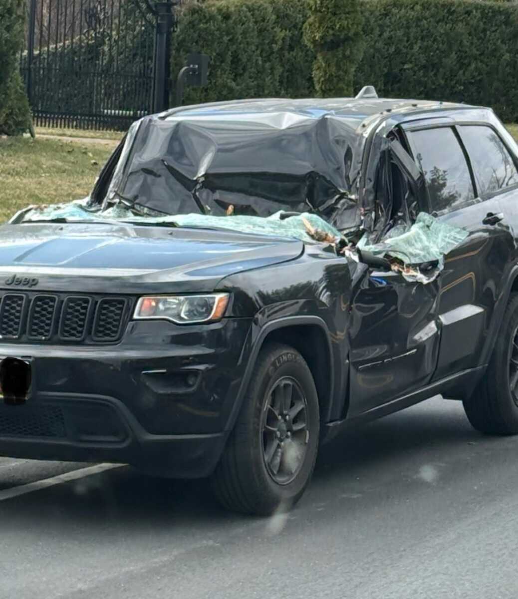 Driver "Escapes Death by Inches" After Tree Falls on Car in Potomac ...