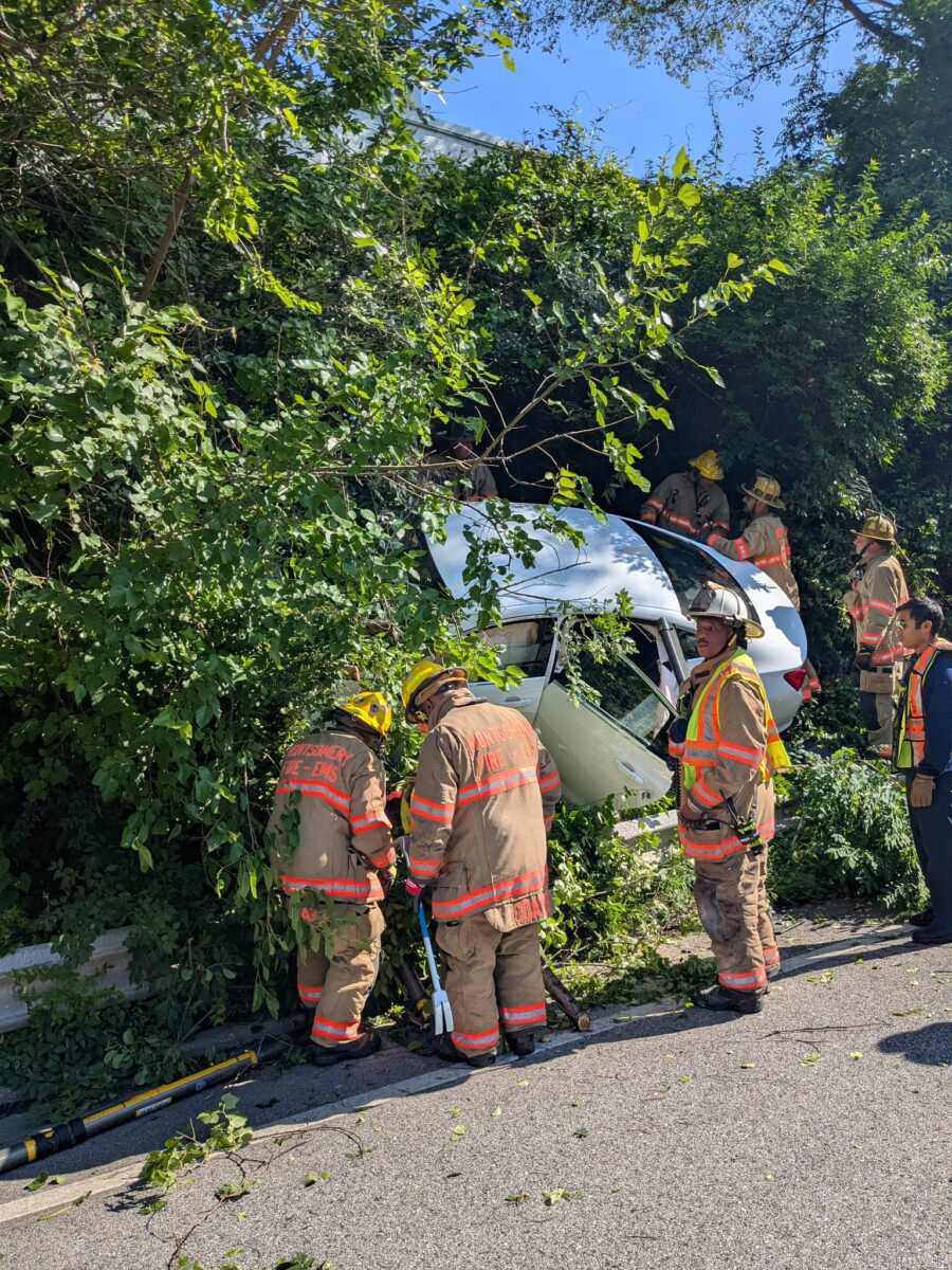 Driver Rescued After Crashing Vehicle Into Woods - The MoCo Show