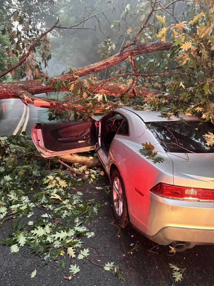 Driver Extricated After Vehicle Strikes Downed Tree - The MoCo Show