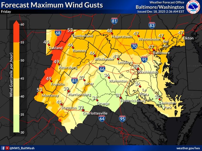 Wind Advisory Issued as Strong Cold Front Brings Gusts Up to 55 MPH ...