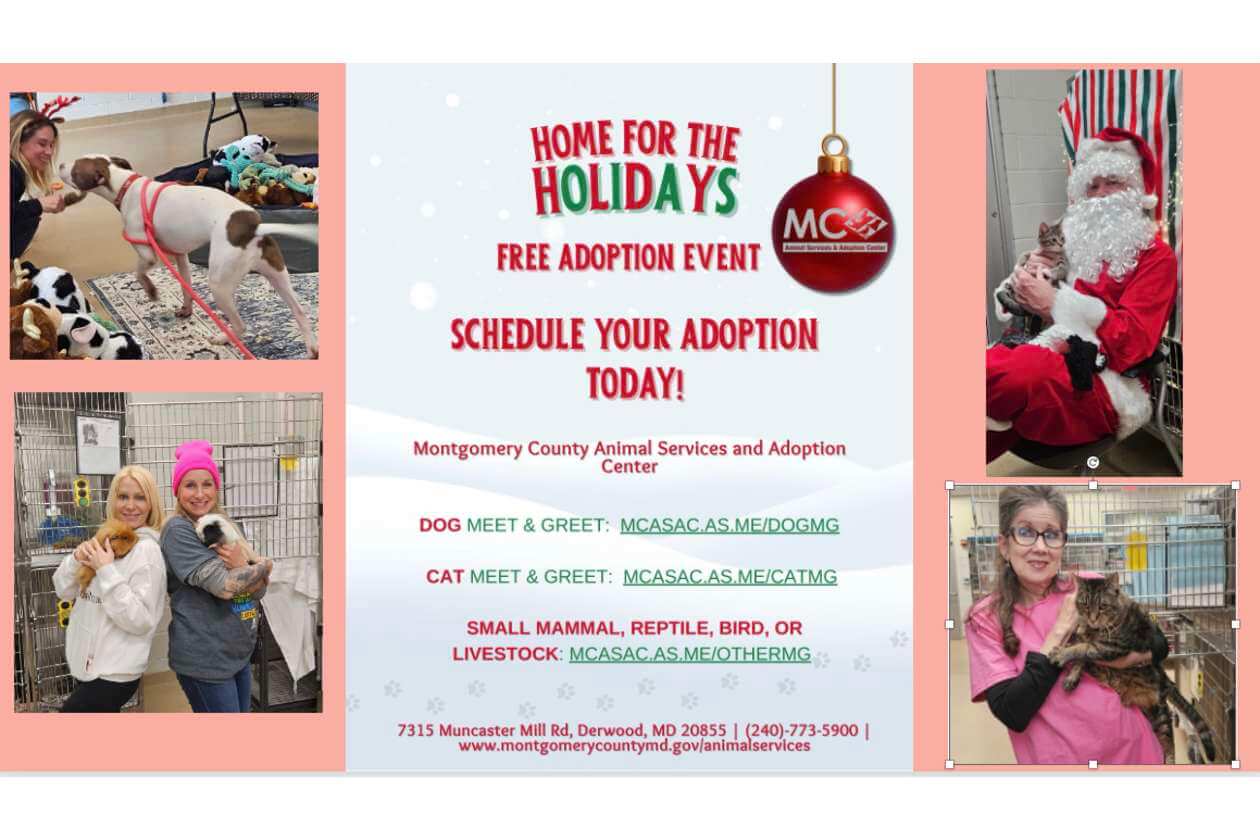 Free Adoptions this Weekend at Montgomery County Animal Shelter - The ...
