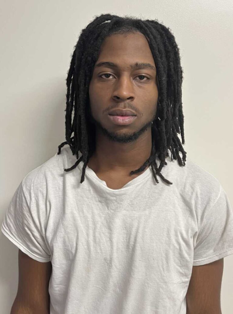 Man Faces Life in Prison After Guilty Plea in Montgomery Village ...