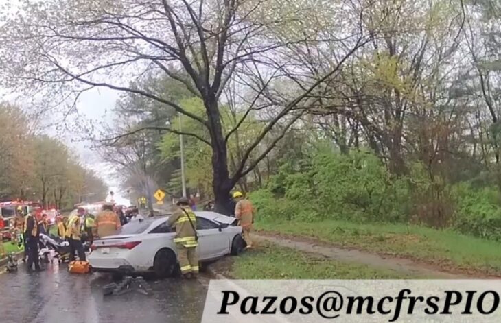 Police Investigating Fatal Crash After Driver Strikes Tree - The MoCo Show