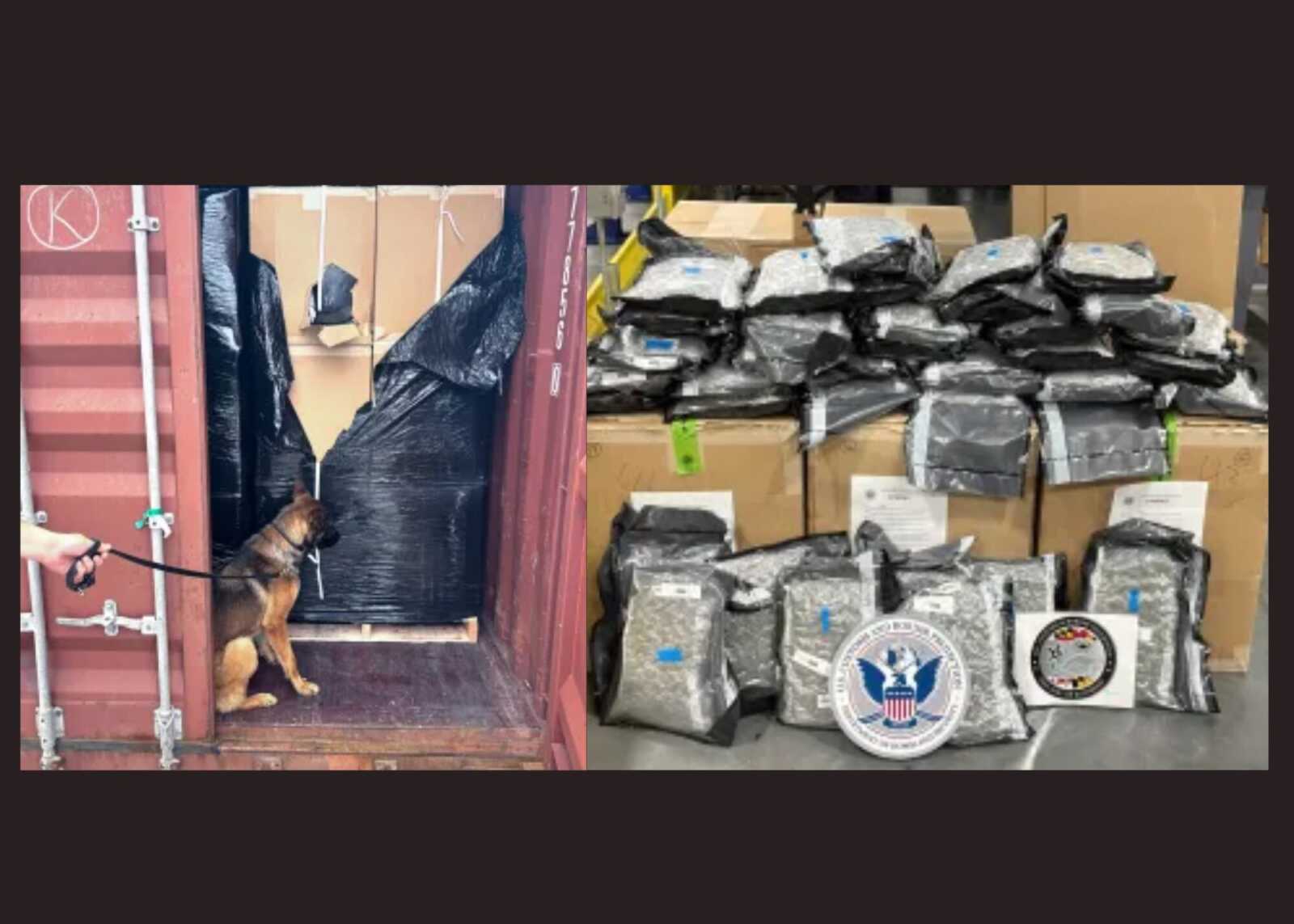 More Than 10,000 Pounds of Marijuana Bound for England Seized in Maryland